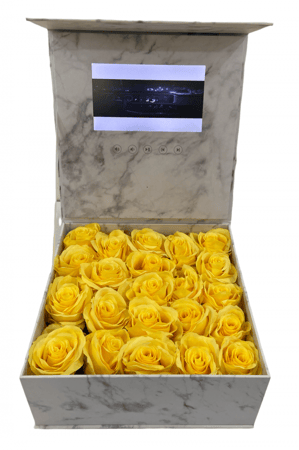 بوكس الشاشة