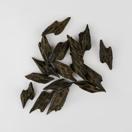 عود التايقر الفيتنامي