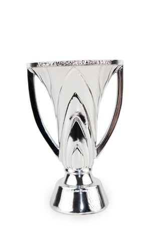 مجسم كأس النخبة- 21 CM