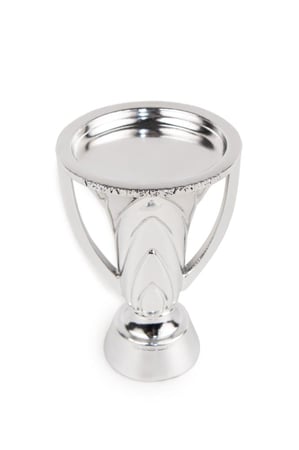 مجسم كأس النخبة- 21 CM
