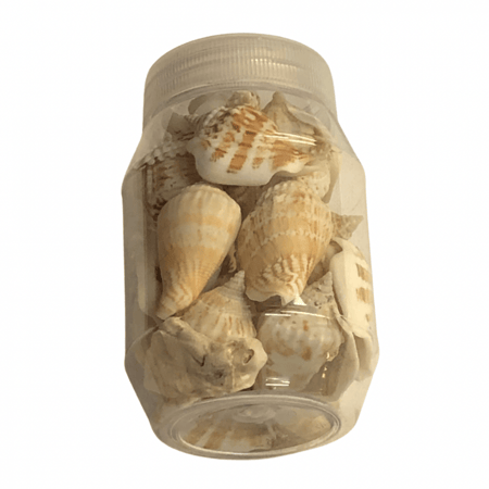 قواقع صناعيه للاعمال الفنيه