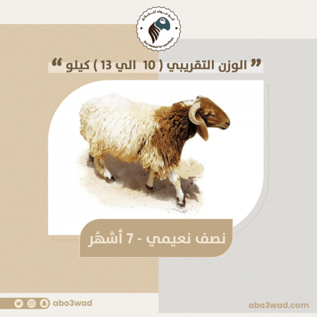 نصف نعيمي - 7 أشهُر