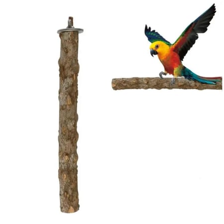 حامل ببغاء من الخشب الطبيعي