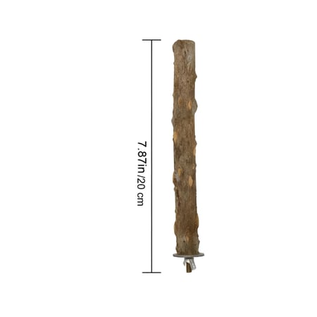 حامل ببغاء من الخشب الطبيعي