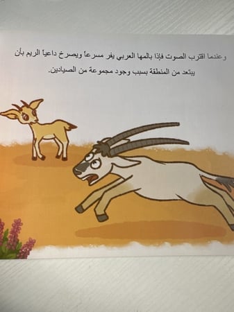 ريم في الصحراء البيئة الحماية منها كتب قصص أطفال اصدقاء بيئتي صحتي نظا