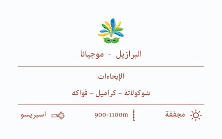 قهوة السيف برازيلي - موجيانا 1 كجم اسبريسو