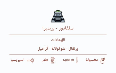 قهوة السيف سلفادور - بريميرا 250 جرام