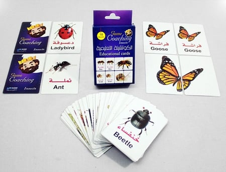 الكوتشينة التعليمية (( الحشرات))