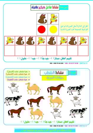 برنامج مهارات الذكرة البصرية المستوي الاول