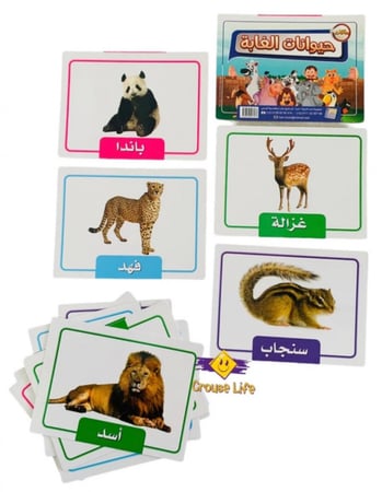 بطاقات تعليمية كبيرة الخضروات