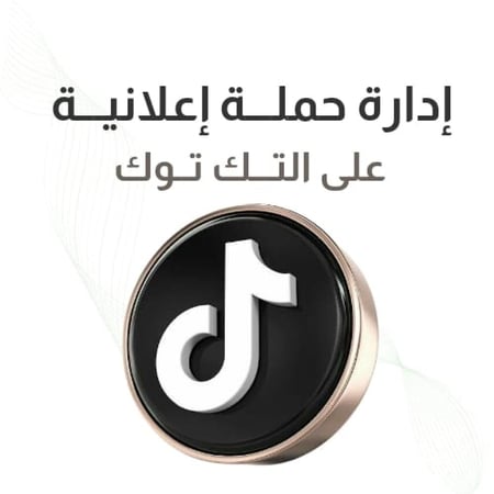 إدارة حملة إعلانية على مصنة التك توك