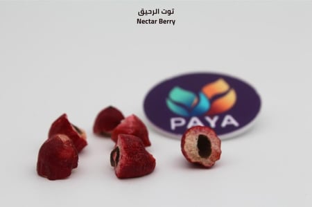 توت الرحيق - Nectar Berry