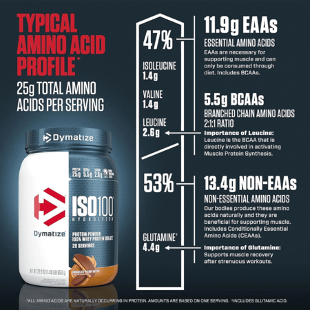 ايزو 100 بروتين ديماتايز شوكليت بينت بتر 650جم - Dymatize ISO100 Protein
