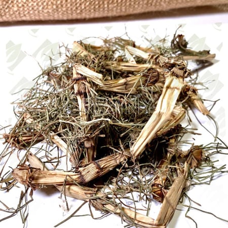 عشبه ذيل الحصان