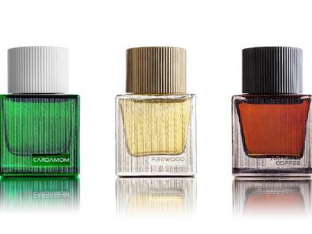 عطور سدو البداح للعود عطور شتاء