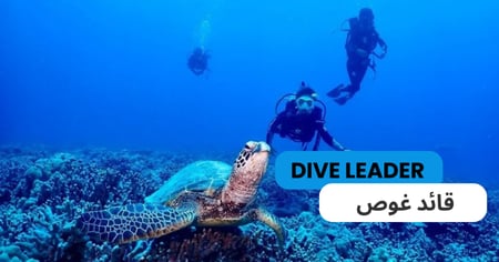 قائد غوص (Dive leader)