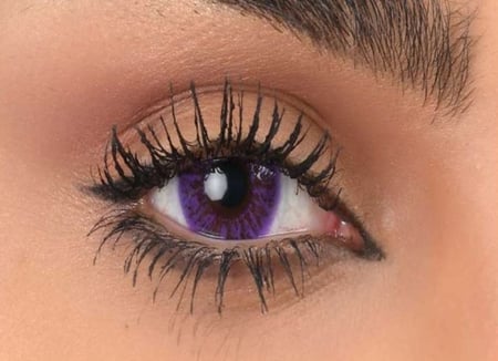 عدسات كلاسيك بنفسجى – D724 – لوكسرى