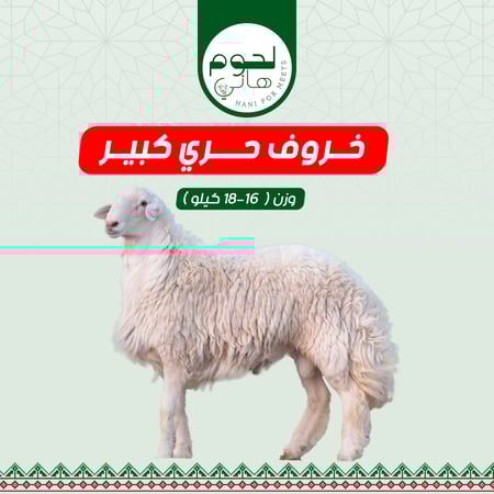 ذبيحة حري كبير فاخر