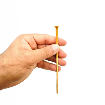 مسواك العرجون الطبيعي في اليد لإظهار الحجم والطول الفعلي