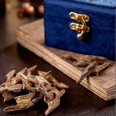 عود كلمنتان جملة فاخر - قشوة الطيب