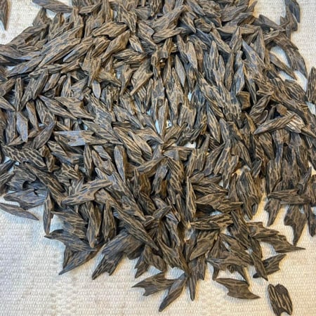 سعر عود تايقر جملة كمبودي - قشوة الطيب