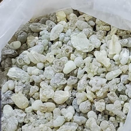 لبان حوجري أصلي ذكر عماني - قشوة الطيب