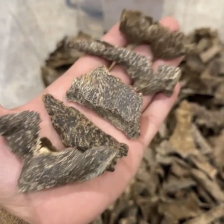 افضل عود طبيعي - قشوة الطيب