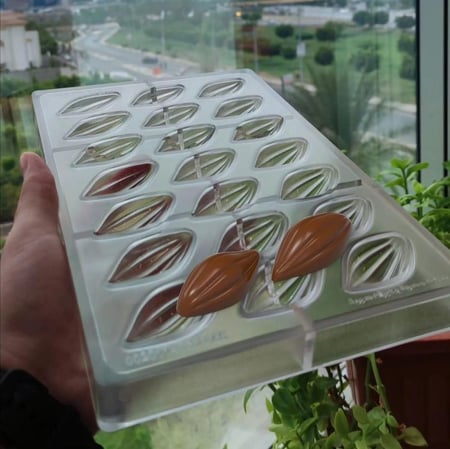 قالب شوكولاتة نبتة الكاكاو جودة عاليه مقاس 5.2*2.6سم ارتفاع1.4سم