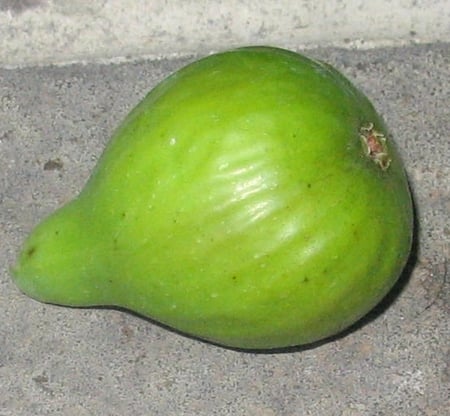 عقل تين ستروبري فيرت