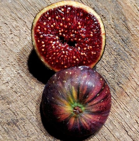 عقل تين مارتينينكا ريمادا