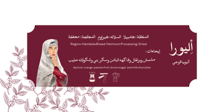 بوكس نوڤريسكا النخبه