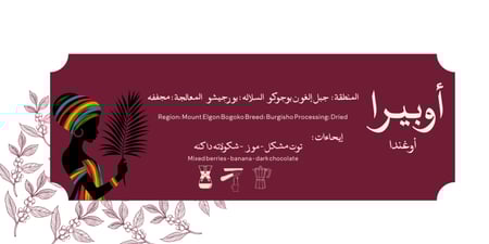 بوكس نوڤريسكا النخبه