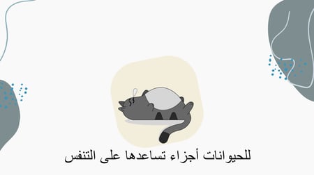 عروض بوربوينت جاهزة في مادة العلوم