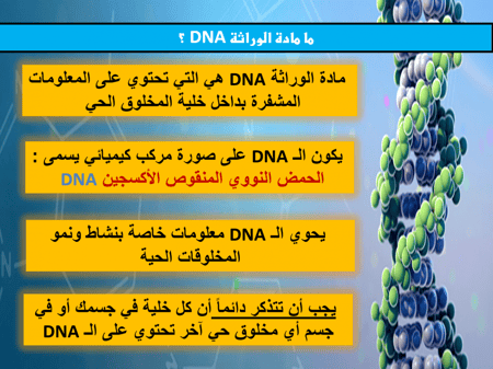 عروض بوربوينت علوم ثالث متوسط