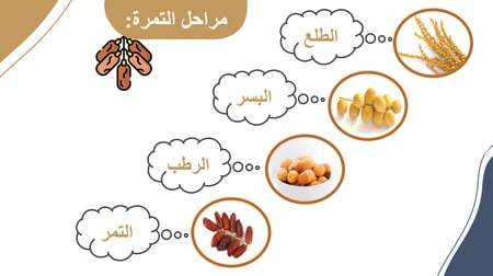 التمر المهارات الحياتية