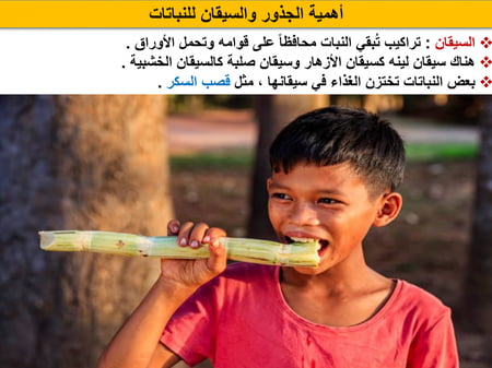 بوربوينت علوم سادس الفصل الاول