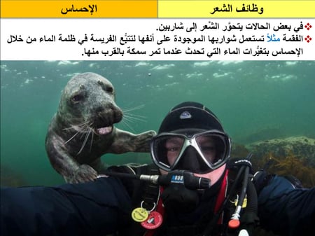 احياء ثاني ثانوي الفصل الاول