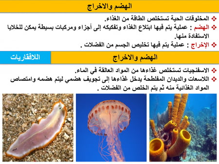 عرض بوربوينت علوم سادس الفصل الاول