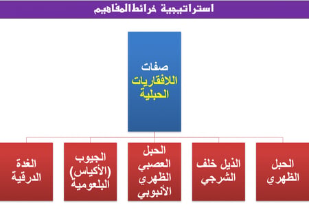 عرض احياء اول ثانوي