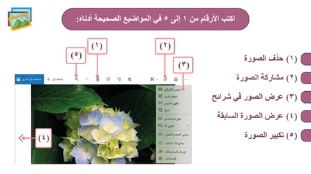 عرض بوربوينت مهارات رقمية رابع ابتدائي