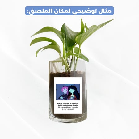 ملصق نباتات