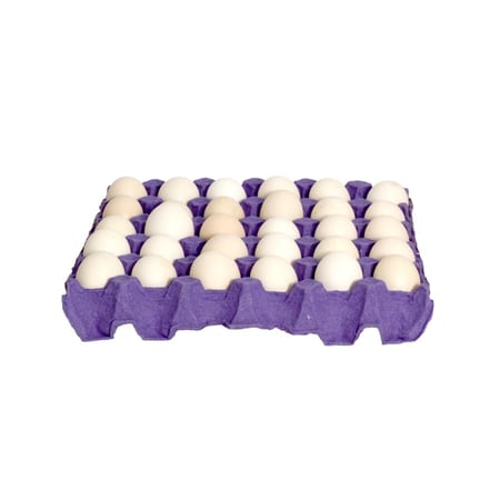 بيض بلدي طبق