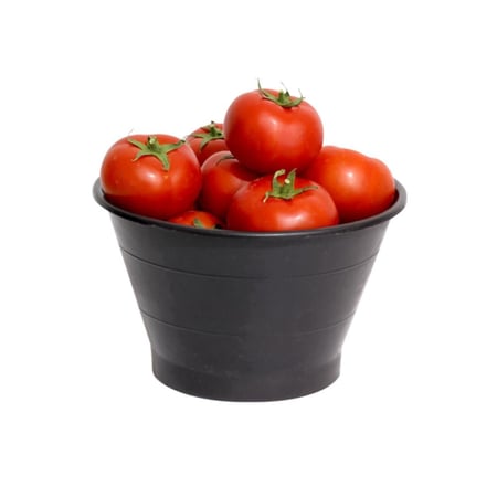 طماط القصيم