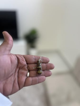 فاتوران زيتي بني P404