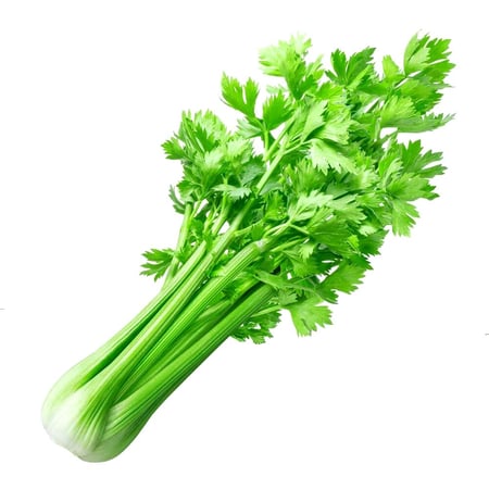 كرفس طازج | حبه