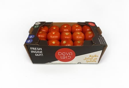 طماطم | زراعة مائية