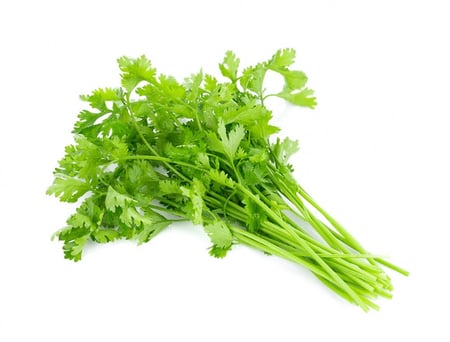 كزبره  | حزمة