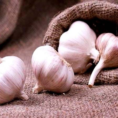 ثوم بلدي | نص كيلو