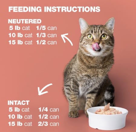 ناتشرال كود 03 معلبات الدجاج السالمون للقطط 85جرام