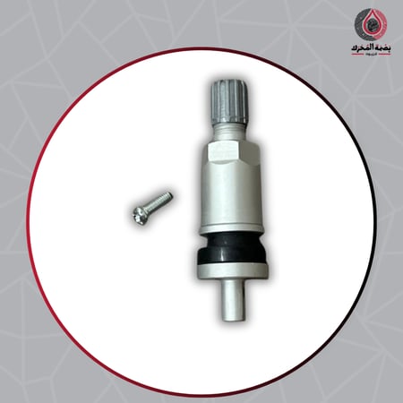 بلف هواء معدني للإطارات مع برغي تثبيت ( 1 حبة )